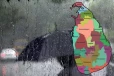 இன்றும் நாடு முழுவதும் தொடரவுள்ள மழை நிலைமை