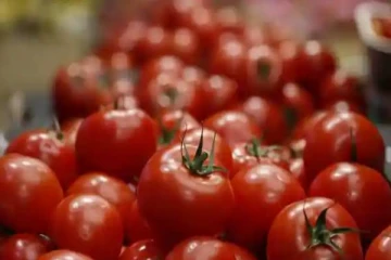 தக்காளி விலை அதிகரிப்பு! சிக்கனமாக பயன்படுத்துவது எப்படி?