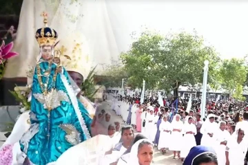 மன்னார் - மடு அன்னையின் ஆவணித் திருவிழா ஆரம்பம்! 5 இலட்சத்திற்கும் அதிகமானோர் பங்கேற்பு (Video)