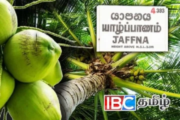 யாழ். தென்னை விவசாயிகளுக்கு வெளியான நற்செய்தி