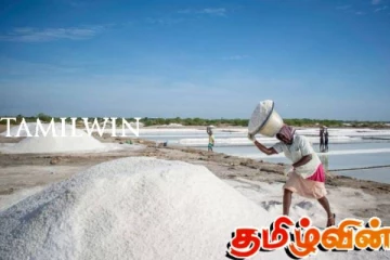 நாட்டில் உப்பு உற்பத்தியில் ஏற்பட்டுள்ள மாற்றம்!