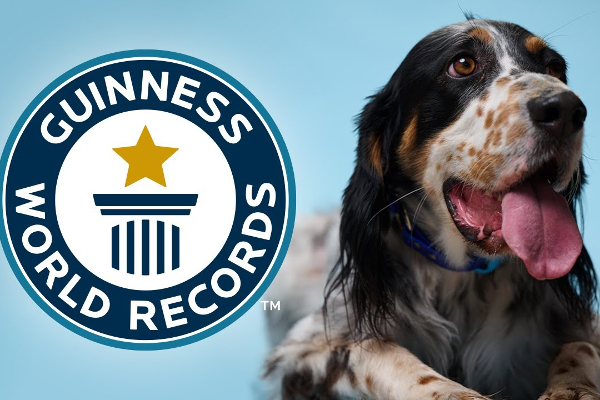 உலக கின்னஸ் சாதனை படைத்த நாய்! | Guinness World Record Dog