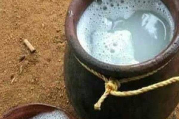 60 போத்தல் கள்ளுடன் 67 வயது மூதாட்டி கைது! | 67 Year Old Woman Arrested