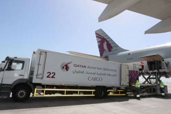 கட்டார் விமானத்தில் பறிபோன இலங்கை வைத்தியரின் உயிர் | Sri Lanka Vegetarian Passenger Dies Qatar Airways