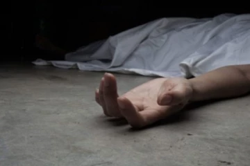 වන අලියෙකුට බිය වීම නිසා මෝටර් රථයක් අනතුරට පත් වේ - එක් අයෙක් ජිවිතක්ෂයට..