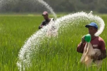 இலங்கைக்கு வரவுள்ள பல்லாயிரம் மெட்றிக் டொன் இரசாயன உரங்கள்!