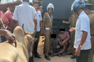 வவுனியாவில் மாடு கடத்தியவர்களுக்கு ஏற்பட்ட நிலை : முன்னெடுக்கப்பட்டுள்ள விசாரணை