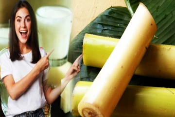 வாழைத்தண்டு சாப்பிடுவதால் உடலுக்கு இத்தனை நன்மைகளா?