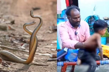 தன்னைத் தானே கொத்திக் கொண்டு உயிரிழந்த பாம்பு! பெண்ணின் மீது இறங்கிய பாம்பின் ஆத்மா? பகீர் உண்மை