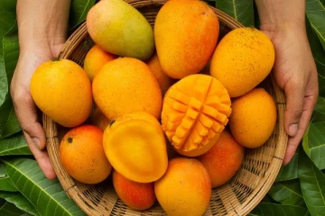 சர்க்கரை நோயாளிகள் மாம்பழம் சாப்பிடலாமா? எவ்வாறு சாப்பிட வேண்டும்! நன்மைகள் என்னென்ன!