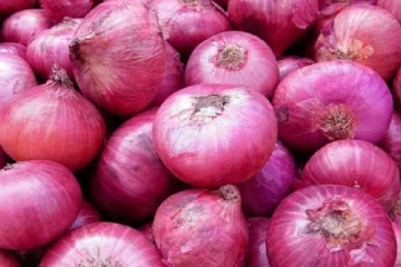 ලොකු ලූනු ගොවීන්ට අලුත් බලාපොරොත්තුවක්- අක්කරයකට ලක්ෂ 10ක් යන වියදම කපන්න කෘෂිකර්මයෙන් සුපිරි වැඩක්