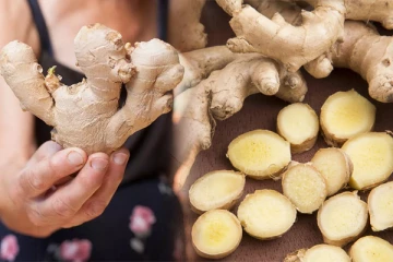 பெண்கள் அதிகமாக இஞ்சியை உட்கொண்டால் என்ன நடக்கும்?