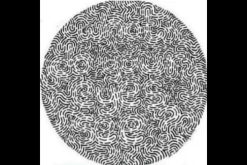 Optical illusion: இந்த கைரேகை மாயையில் இருக்கும் சொல்லை உங்களால் வாசிக்க முடியுமா?