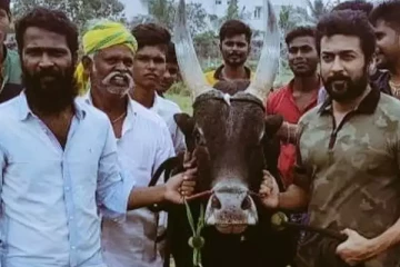 வாடிவாசல் படத்தின் படப்பிடிப்பு எப்போது.. வெற்றிமாறன் கொடுத்த மாஸ் அப்டேட்