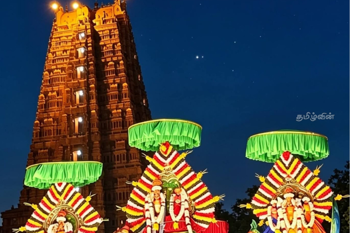 ஒட்டுசுட்டான் தான்தோன்றீஸ்வரர் ஆலய சப்பரம் ரதோற்சவம் கொண்டாட்டம் | Mullaitivu Temple Sappairathotsavam