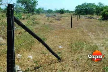 ආපදාවෙන් හානි වූ අලි වැටවල් වලට කඩිනමින් විසදුම්