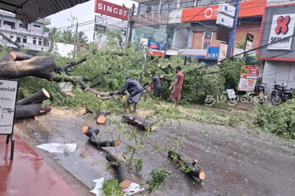 முல்லைத்தீவில் தொடரும் சீரற்ற காலநிலை : போக்குவரத்து பாதிப்பு | Bad Weather Continues Mullaitivu Traffic Affected