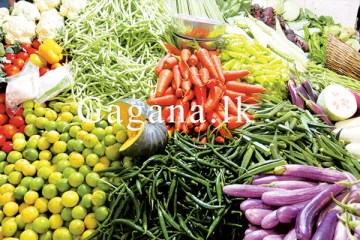 එළවලු මිලෙහි සිදු වූ වෙනස. - නව මිල ගණන් මෙන්න.