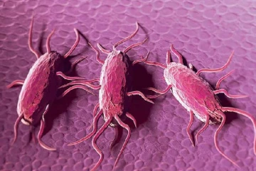 லிஸ்திரியா நோய் தொற்று தொடர்பில் விடுக்கப்பட்டுள்ள அறிவித்தல்