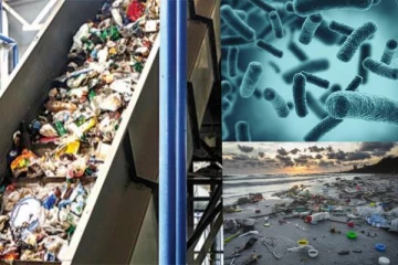 பிளாஸ்டிக்கை உண்ணக்கூடிய புதியவகை பக்டீரியம் கண்டுபிடிப்பு
