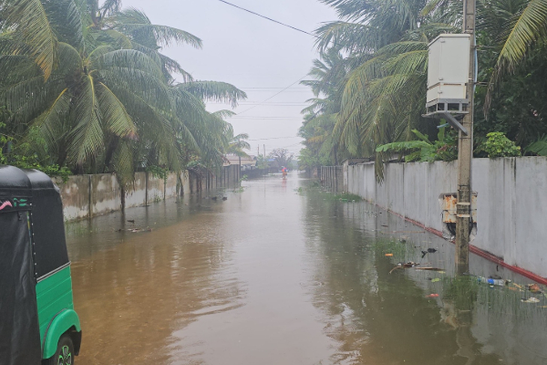 யாழ் மாவட்ட அரச அதிகாரிகளை திட்டித்தீக்கும் மக்கள்; காரணம் இதுதான்! | Jaffna District Officials Falsely Reported Flood