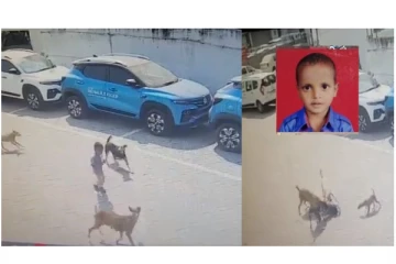 தெருநாய்கள் கடித்து 4 வயது சிறுவன் மரணம்... - பதற வைக்கும் அதிர்ச்சி வீடியோ வைரல்...!