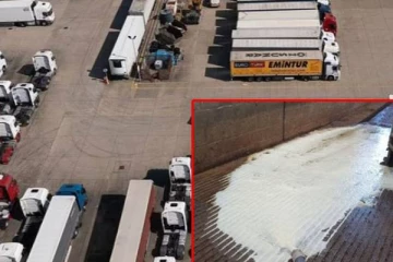 பிரித்தானியாவின் மோசமான நிலை: பல ஆயிரம் லிற்றர் பால்களிற்கு நேர்ந்த கதி