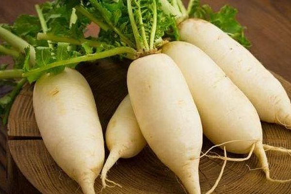 தொப்பையை குறைக்க இந்த வேர் காய் கறிகளை சாப்பிடணுமாம் | Eat This Root Curry To Reduce Belly Fat