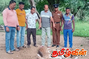 கந்தளாயில் மான்களை வேட்டையாடிய இருவர் கைது