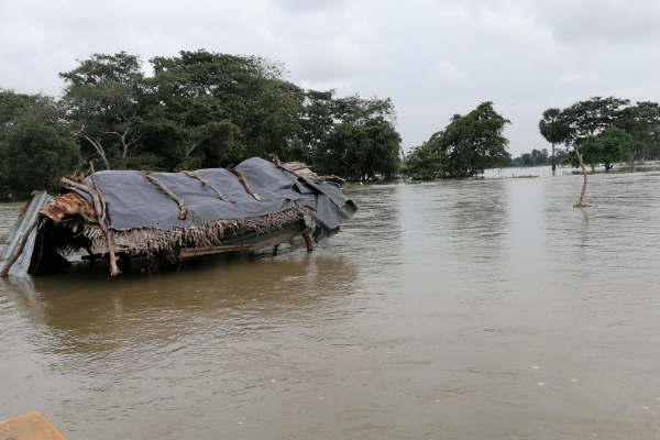 தமிழர் பகுதியொன்றில் வெள்ளத்தில் அகப்பட்ட 16 விவசாயிகள் | 16 Farmers In A Tamil Area Trapped In Floods