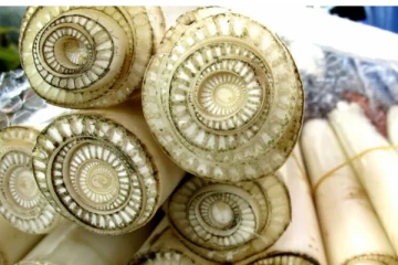 வெறும் 10 நிமிடத்தில் வாழைத்தண்டு சாலட்  சாப்பிடனுமா? எப்படி செய்ய வேண்டும் தெரியுமா?