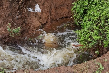 வவுனியாவில் உடைப்பெடுத்த குளம்: 15 ஏக்கர் வயல் நிலங்கள் பாதிப்பு