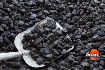 පරික්ෂාවේදී අඩුවක් හඳුනාගත්තා ඒ නිසා දඩ අය කරනවා - ගල්අඟුරු ප්‍රමිතිය ගැන නලින්ද කට අරී