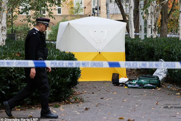 20-year-old-girl-stabbed-in-north-london-park