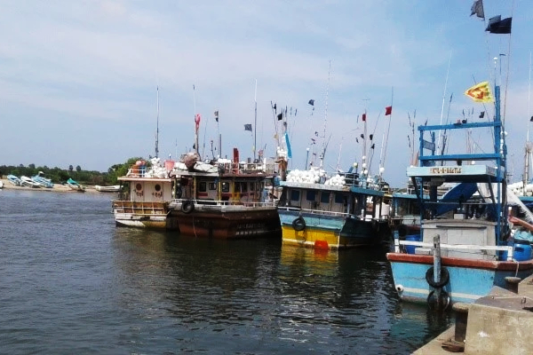 நவீனமயமாகப்போகும் யாழ். மயிலிட்டி துறைமுகம்: அமைச்சர் வெளியிட்ட அறிவிப்பு | Government Takes Steps To Modernize Jaffna Port