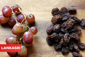 திராட்சை Vs உலர் திராட்சை! எது ஆரோக்கியமானது?