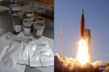 விண்வெளிக்கு விதைகளை அனுப்பும் கனடா... ஒரு சுவாரஸ்ய தகவல்