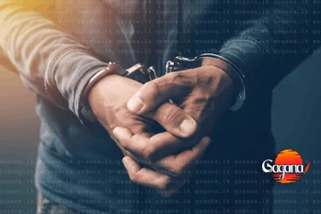 පිටකොටුවේ කෝටි 2ක කොල්ල කෑමක් - 8 දෙනෙකුට වැඩ වරදී