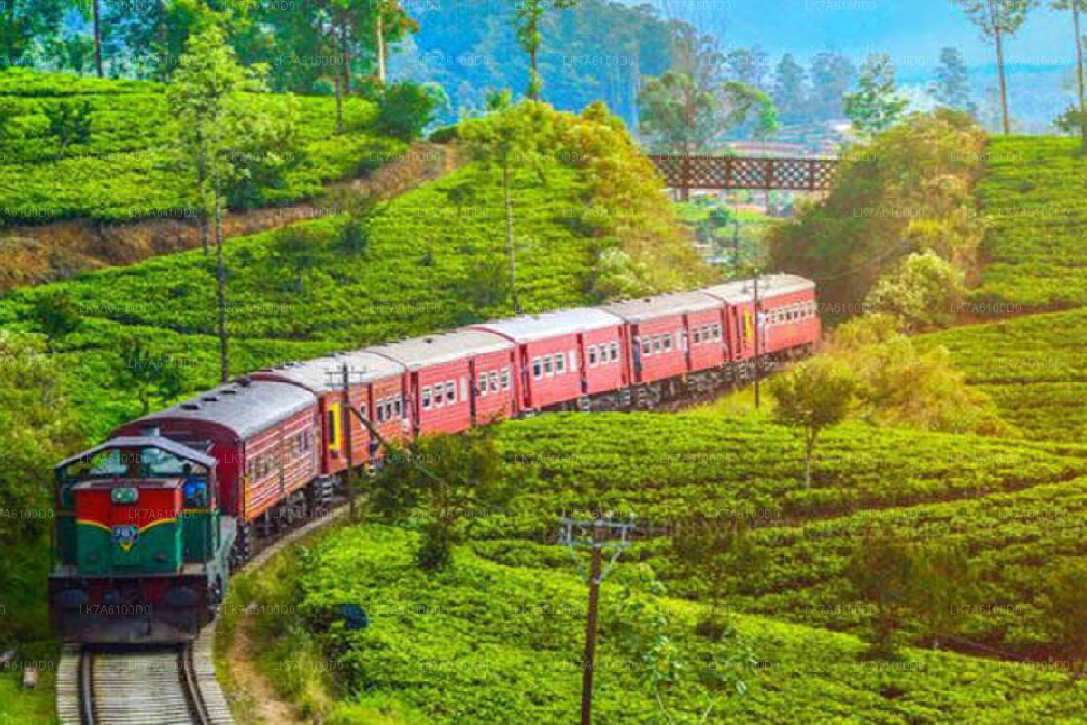 பதுளை- நானுஓயா ரயில் சேவை ; நேரஅட்டவணை வௌியீடு | Badulla Nanu Oya Train Service Timetable Released