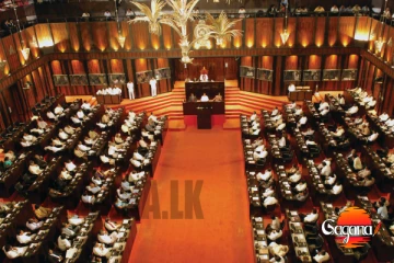 මොකක්ද වෙන්න යන්නේ? ව්‍යවස්ථා සභාවට අලුත් සාමාජිකයන් පත් කරන උත්සාහයක්