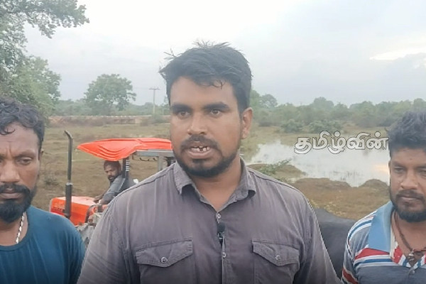 கடுமையான வெள்ளப்பெருக்கினால் கால்நடைகள் உயிரிழப்பு | Animals Killed In Severe Flood கடுமையான வெள்ளப்பெருக்கினால் கால்நடைகள் உயிரிழப்பு | Animals Killed In Severe Flood