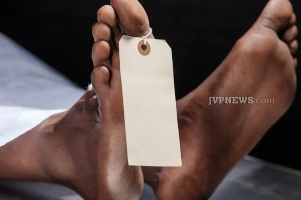 முல்லைத்தீவில் பயங்கரம்;  கண்டுகொள்ளாத பொலிஸார்! | Terror In Mullaitivi Ignorant Police