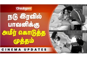 நடு இரவில் பாவனிக்கு அமீர் கொடுத்த முத்தம்