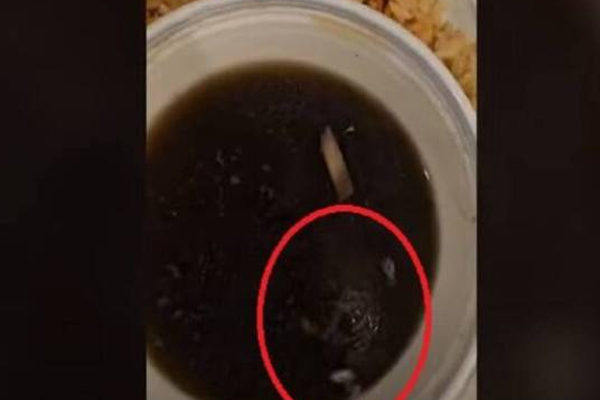 பிரித்தானியாவில் சூப்பிலிருந்து உயிருள்ள எலி எழுந்து வந்ததை கண்டு அதிர்ச்சியடைந்த காதலன்! | Rat That Rose Alive From Soup In Britain Lover