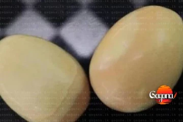 ගජමුතු සමග සැකකරුවෙකු අත්අඩංගුවට