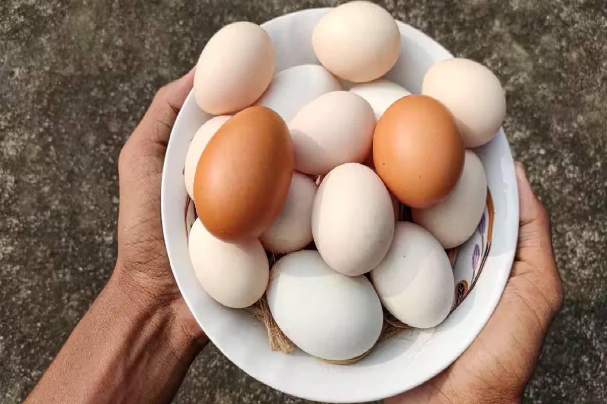 14 நாட்கள் தொடர்ந்து முட்டை சாப்பிட்டால் கிடைக்கும் நன்மைகள் என்னென்ன? மருத்துவ விளக்கம் | What Happens If You Eat Eggs Daily For 14 Days