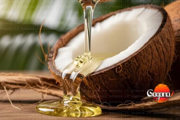 මීට පස්සේ පොල් තෙල් ගන්න වෙන්නේ මෙහෙමයි