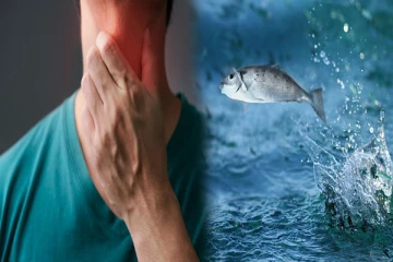 இளைஞரின் தொண்டைக்குள் பாய்ந்த மீன் ; கடைசியில் நேர்ந்த பெரும் சோகம்