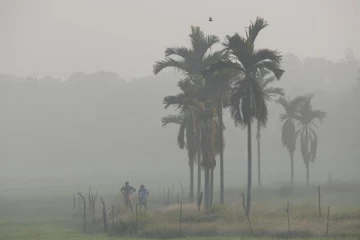 මීදුම ගැන ඔබ නොදත් දේ...