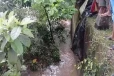 தவறி வீழ்ந்தவர் உயிரிழந்தார்